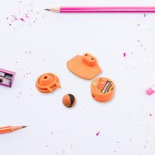 Football & Basketball Stationery Kit – Pencil, Sharpener & Eraser for Kids (Birthday Gift)